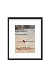 Winter Golf – 1970s