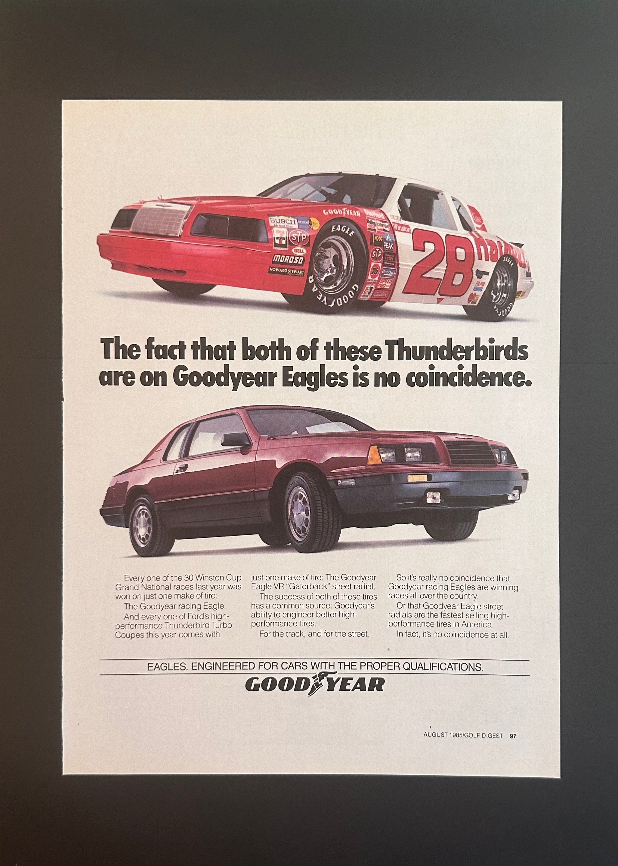 Goodyear Eagles – “Both of These Thunderbirds”